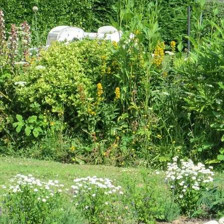 A - 30m² Avec Jardin *