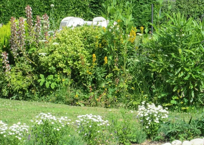 דירה A - 30m² Avec Jardin ויירוויל-סור-מר